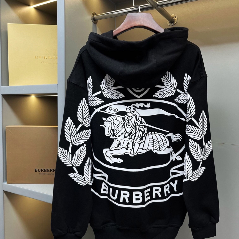 Other Hoodies